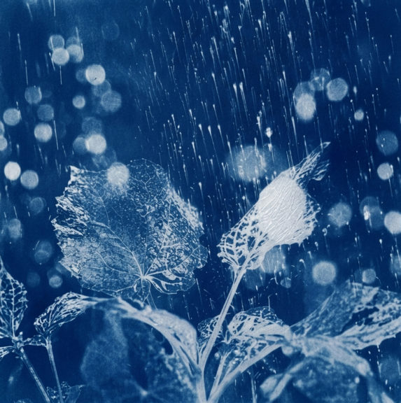 Mountis. Cyanotype 2026 © EPFL+ECAL Lab